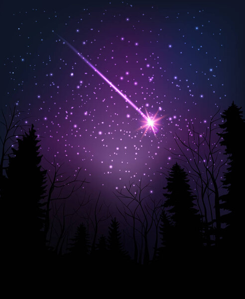Star falling through dark night. Starry sky above dark forest.