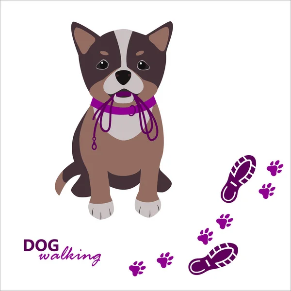 Шаблон логотипу прогулянки собакою, сидячий собака з повідцем. Векторна ілюстрація — стоковий вектор