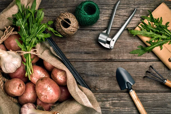 Raw potatoes in a linen bag, arugula, garlic, garden shovel and rake, food background, top view — Stock Photo, Image