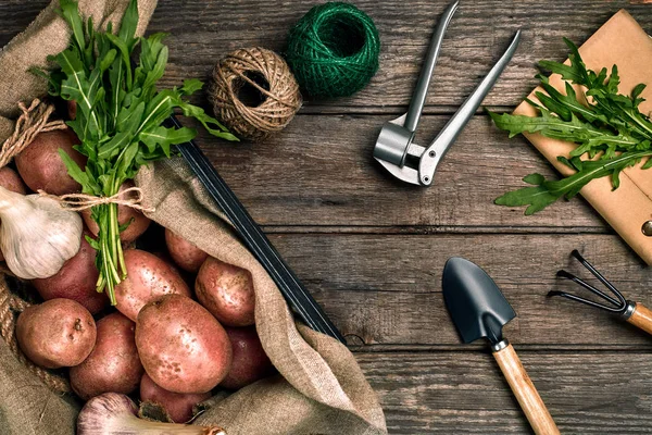 Batatas cruas em um saco de linho, rúcula, alho, pá de jardim e ancinho, fundo de comida, vista superior — Fotografia de Stock