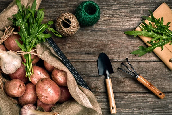 Batatas cruas em um saco de linho, rúcula, alho, pá de jardim e ancinho, fundo de comida, vista superior — Fotografia de Stock
