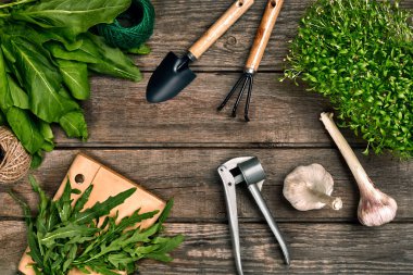 Bahçecilik aletleri ve yeşilliklerle ahşap masa. Bahçede bahar