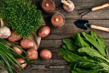 Bahçecilik aletleri ve taze sebzelerin üzerine ahşap arka plan