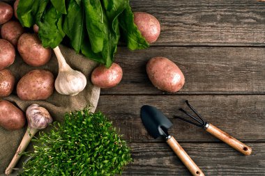 Bahçecilik aletleri ve taze sebzelerin üzerine ahşap arka plan