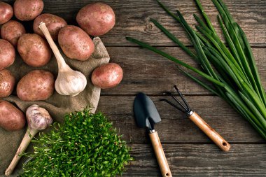 Bahçecilik aletleri ve taze sebzelerin üzerine ahşap arka plan