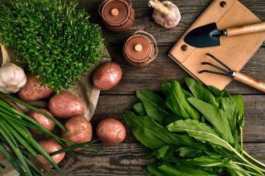 Bahçecilik aletleri ve taze sebzelerin üzerine ahşap arka plan