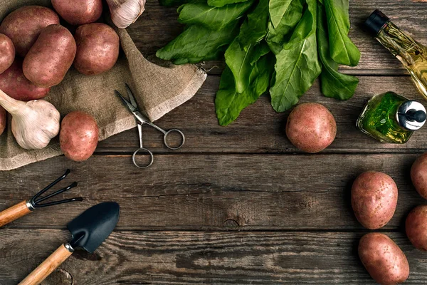 Čerstvé brambory, olej, česnek a kořeněné byliny na pozadí dřevěné kuchyně. Čerstvá zelenina z vlastní zahrady. — Stock fotografie