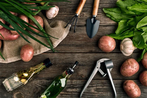 Φρέσκιες πατάτες, λάδι, σκόρδο και πικάντικα βοτάνων σε φόντο ξύλινη κουζίνα. Φρέσκα λαχανικά από τον κήπο σας. — Φωτογραφία Αρχείου