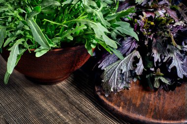 Ahşap masa üzerinde taze yeşil roka. Üstten görünüm. Natürmort. Uzay kopyalayın. Düz yatıyordu