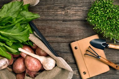 Kırmızı patates çuval bezi, yeşil sarımsak ve bir bahçe küreği ve ahşap kahverengi zemin üzerine komisyon