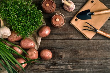 Bahçecilik aletleri ve taze sebzelerin üzerine ahşap arka plan