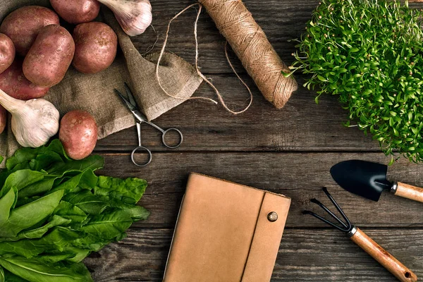 Red potatoes on burlap, garlic with greenery and a garden spade and rake on a wooden brown background — Stock Photo, Image