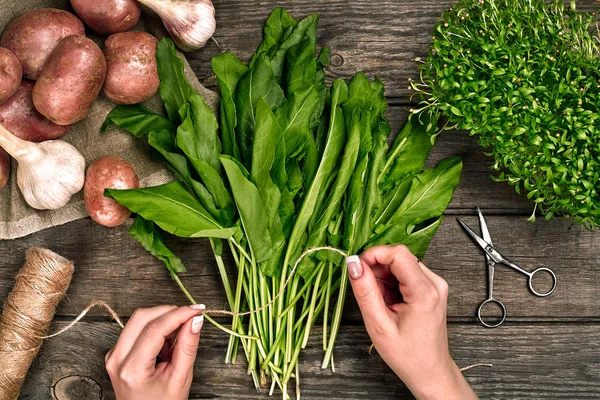 Taze holding kadın eller organik ıspanak yaprakları. Sebze, soğan, sarımsak, patates, ıspanak, marul yaprakları üzerinde ahşap arka plan