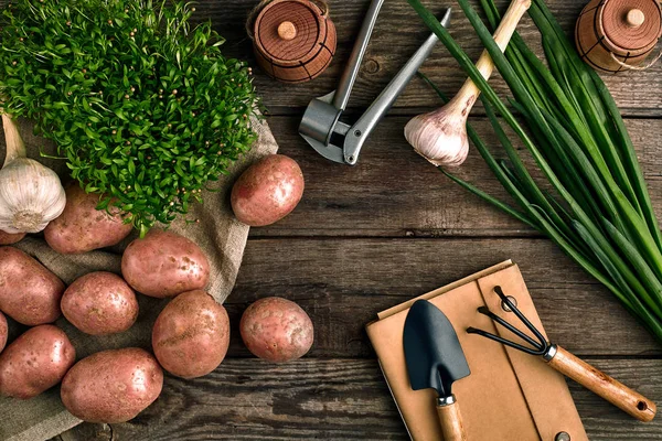 Εργαλεία κηπουρικής και φρέσκα λαχανικά πέρα από το ξύλινο υπόβαθρο — Φωτογραφία Αρχείου
