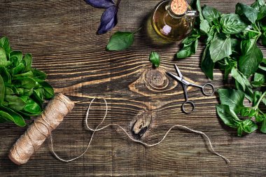 Ahşap zemin üzerine Yeşil taze fesleğen. Üstten görünüm