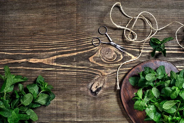 Ahşap arka plan üzerinde taze nane yaprakları. Üstten görünüm. Kopya alanı