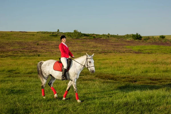 Young woman rider, wearing red redingote and white breeches, with her horse in evening sunset light. — Stock Photo, Image