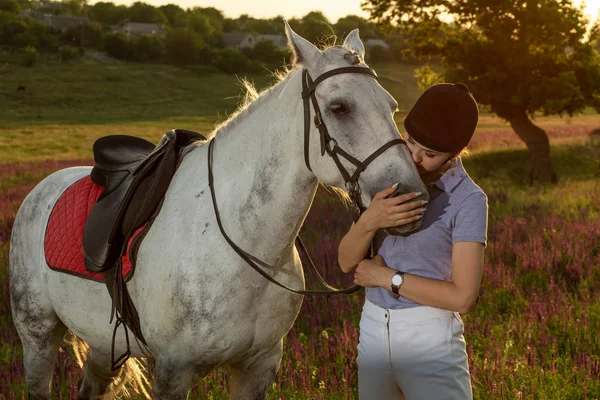 Jockey young girl petting and hugging white horse in evening sunset — Stock Photo, Image