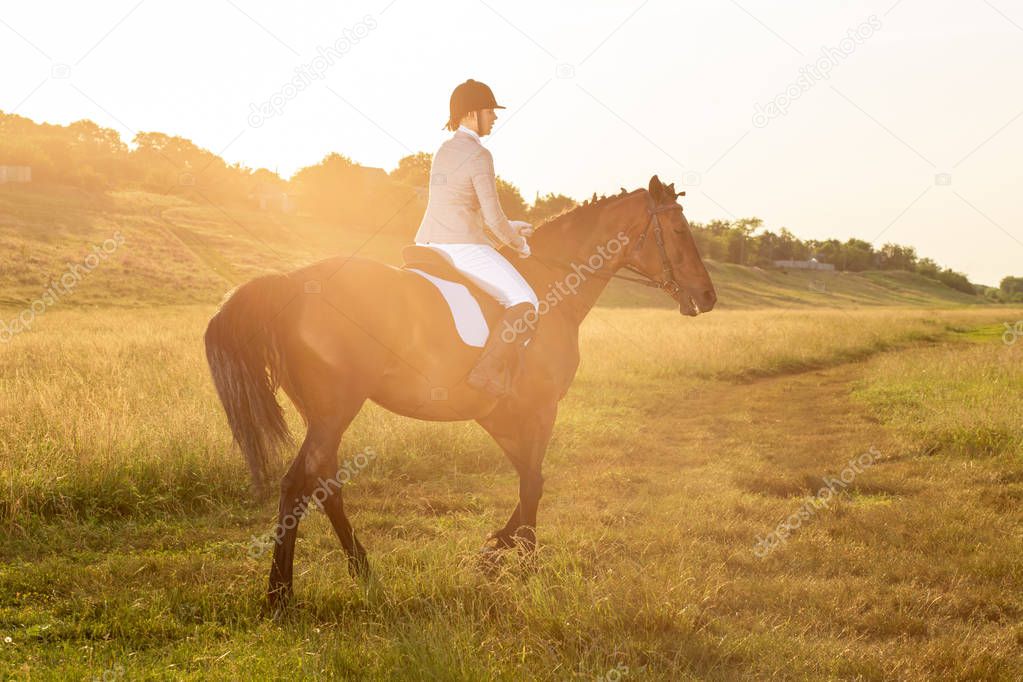 Equestrian sport. Young woman riding horse on dressage advanced test. Sun flare