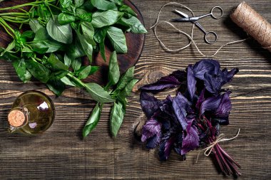 Ahşap zemin üzerine yeşil ve mor taze fesleğen. Üstten görünüm