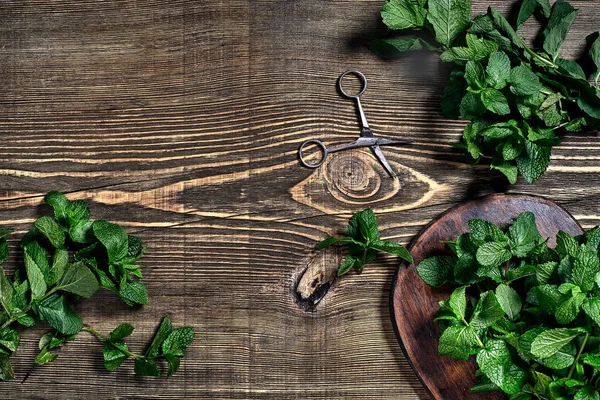 Ahşap arka plan üzerinde taze nane yaprakları. Üstten görünüm. Kopya alanı