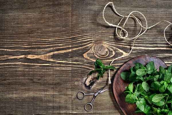 Ahşap arka plan üzerinde taze nane yaprakları. Üstten görünüm. Kopya alanı