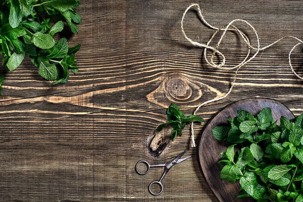 Ahşap arka plan üzerinde taze nane yaprakları. Üstten görünüm. Kopya alanı