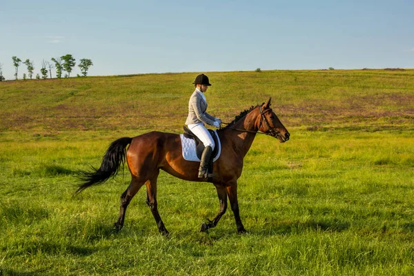 Young woman riding a horse on the green field — Stock Photo, Image