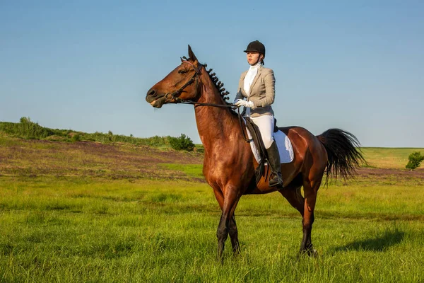 Young woman riding a horse on the green field — Stock Photo, Image
