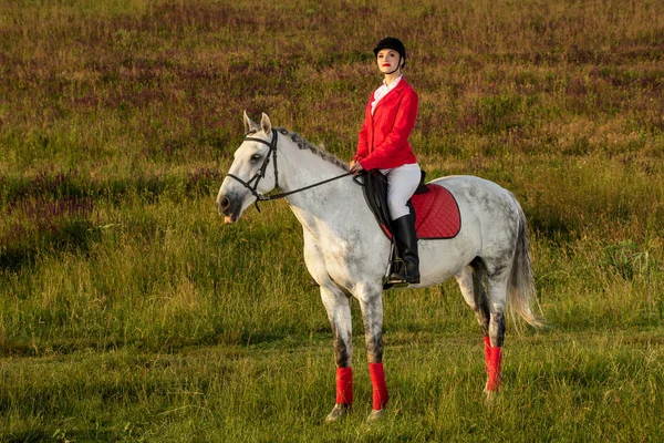 Всадница на красной лошади. Верховая езда. Скачки. Всадник на лошади . — стоковое фото