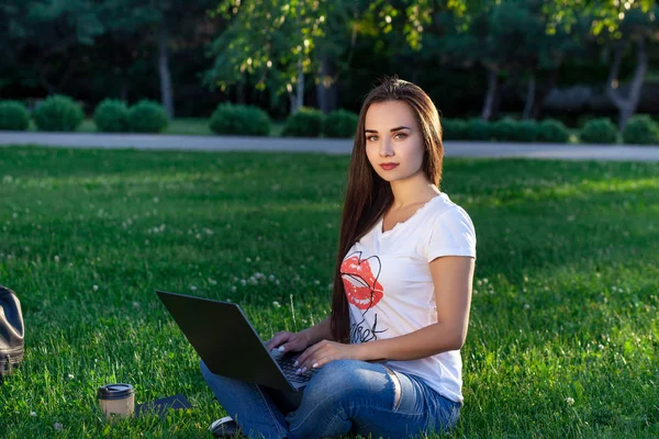 Jeune femme utilisant un ordinateur sur les herbes vertes dans le parc. Éducation apprentissage ou freelance travailler en plein air ou détente concept idée arrière-plan . — Photo