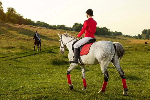 Young woman rider, wearing red redingote and white breeches, with her horse in evening sunset light. — Stock Photo, Image