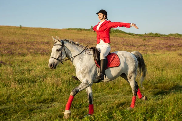 The horsewoman on a red horse. Horse riding. Horse racing. Rider on a horse. — Stock Photo, Image