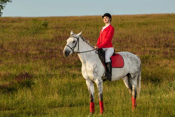 The horsewoman on a red horse. Horse riding. Horse racing. Rider on a horse. — Stock Photo, Image