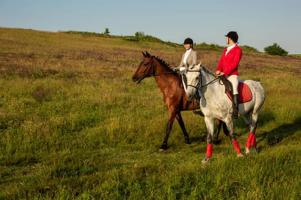 Two young women riding horse in park. Horse walk in summer — Stock Photo, Image