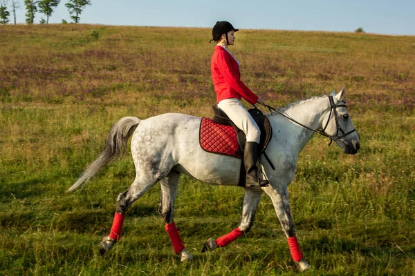 The horsewoman on a red horse. Horse riding. Horse racing. Rider on a horse. — Stock Photo, Image