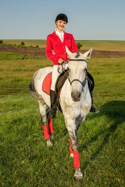 The horsewoman on a red horse. Horse riding. Horse racing. Rider on a horse. — Stock Photo, Image