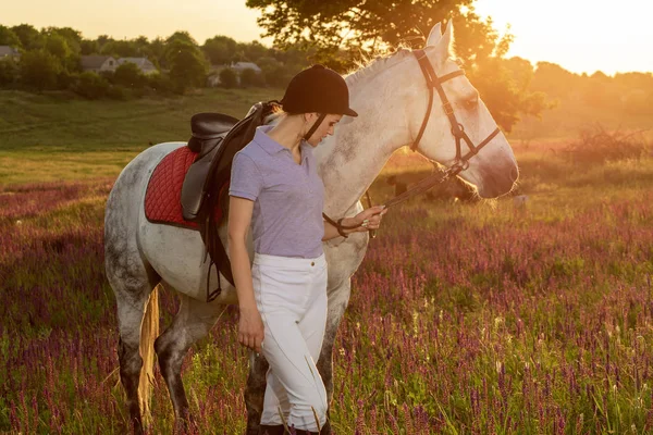 Jockey young girl petting and hugging white horse in evening sunset. Sun flare — Stock Photo, Image