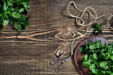 Ahşap arka plan üzerinde taze nane yaprakları. Üstten görünüm. Kopya alanı