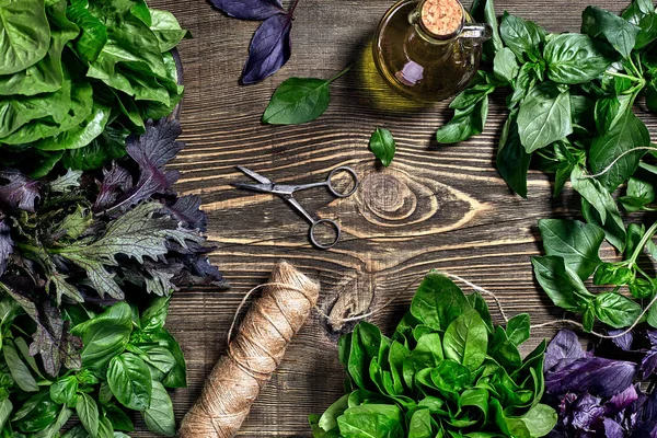 Variety of fresh organic herbs on wooden background. Freshly harvested herbs including basil, arugula. Top view. Copy space. — Stock Photo, Image