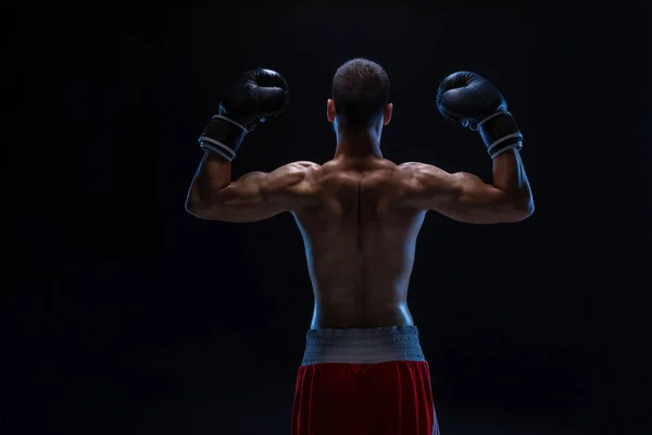 Back view of man boxer with raised hands in victory gesture. Concept of hard sport, glory and success.