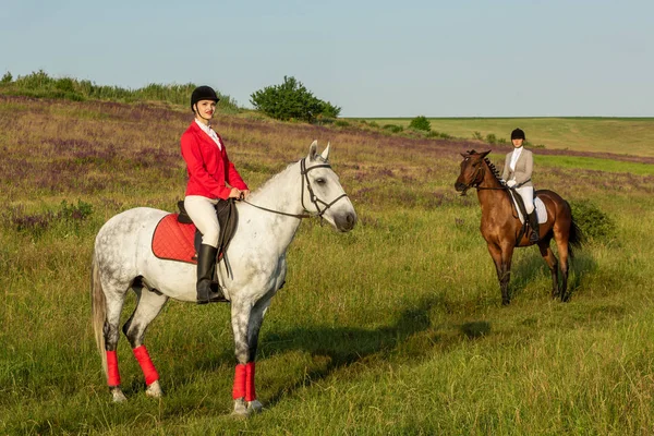 Horseback riders. Two attractive women ride horses on a green meadow — Stock Photo, Image