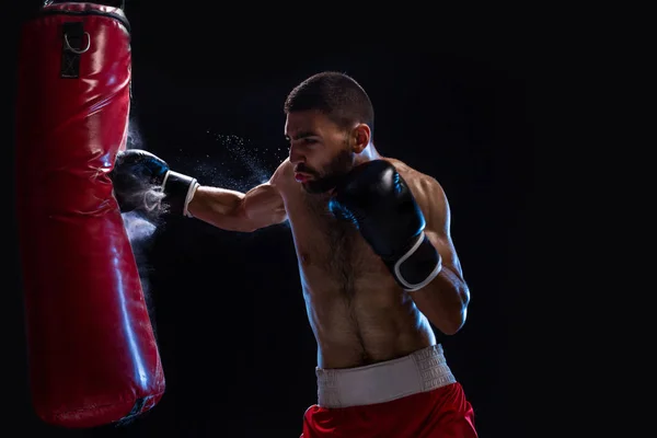 Bearded male boxer training with punching bag on black background. Male boxer as exercise for the big fight.