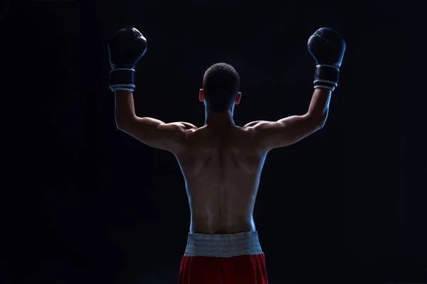 Back view of man boxer with raised hands in victory gesture. Concept of hard sport, glory and success.