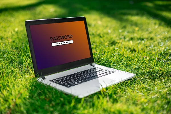 Lösenordsskyddade att logga in på datorskärmen. Säkerhet Sekretesskydd. Laptop på grönt gräs. — Stockfoto
