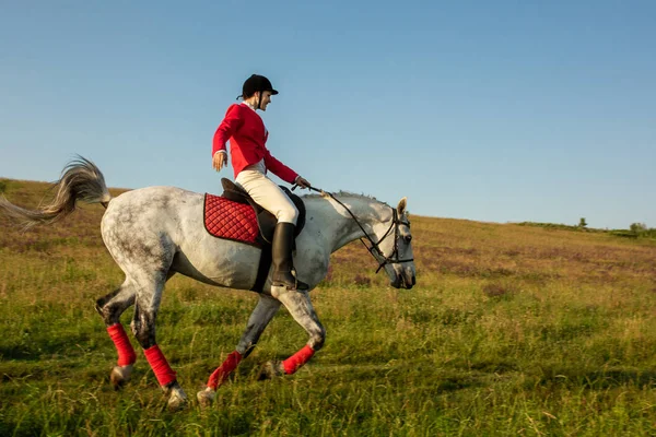 The horsewoman on a red horse. Horse riding. Horse racing. Rider on a horse. — Stock Photo, Image