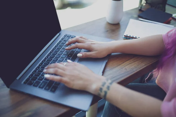Achteraanzicht van een jonge roze haar vrouw keyboarding op laptop compu — Stockfoto
