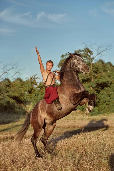 Красивый человек ковбой верхом на лошади - фон неба и деревьев — стоковое фото