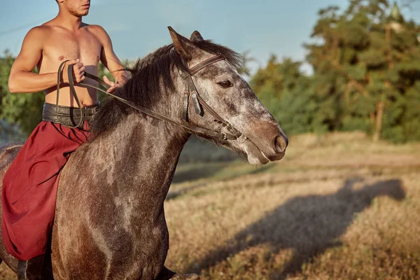 Красивый человек ковбой верхом на лошади - фон неба и деревьев — стоковое фото