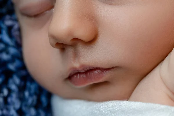 신생아-아기, 얼굴 클로즈업 화이트 니트 담요 아래 자 신생아 보 블루 모피에 거짓말. — 스톡 사진